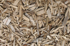 biomass boilers Bythorn